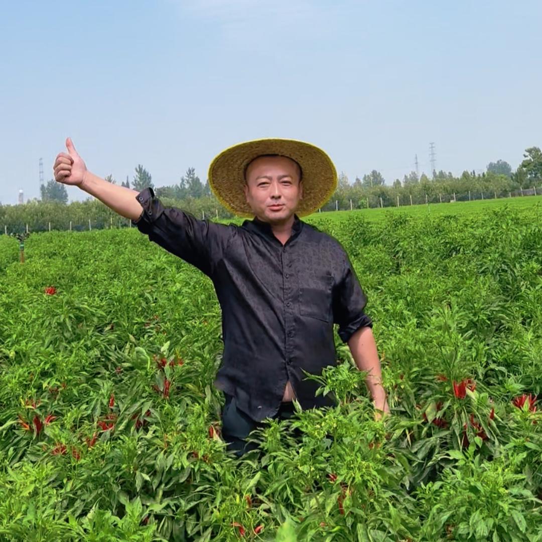 弘亮（弘阳团队）