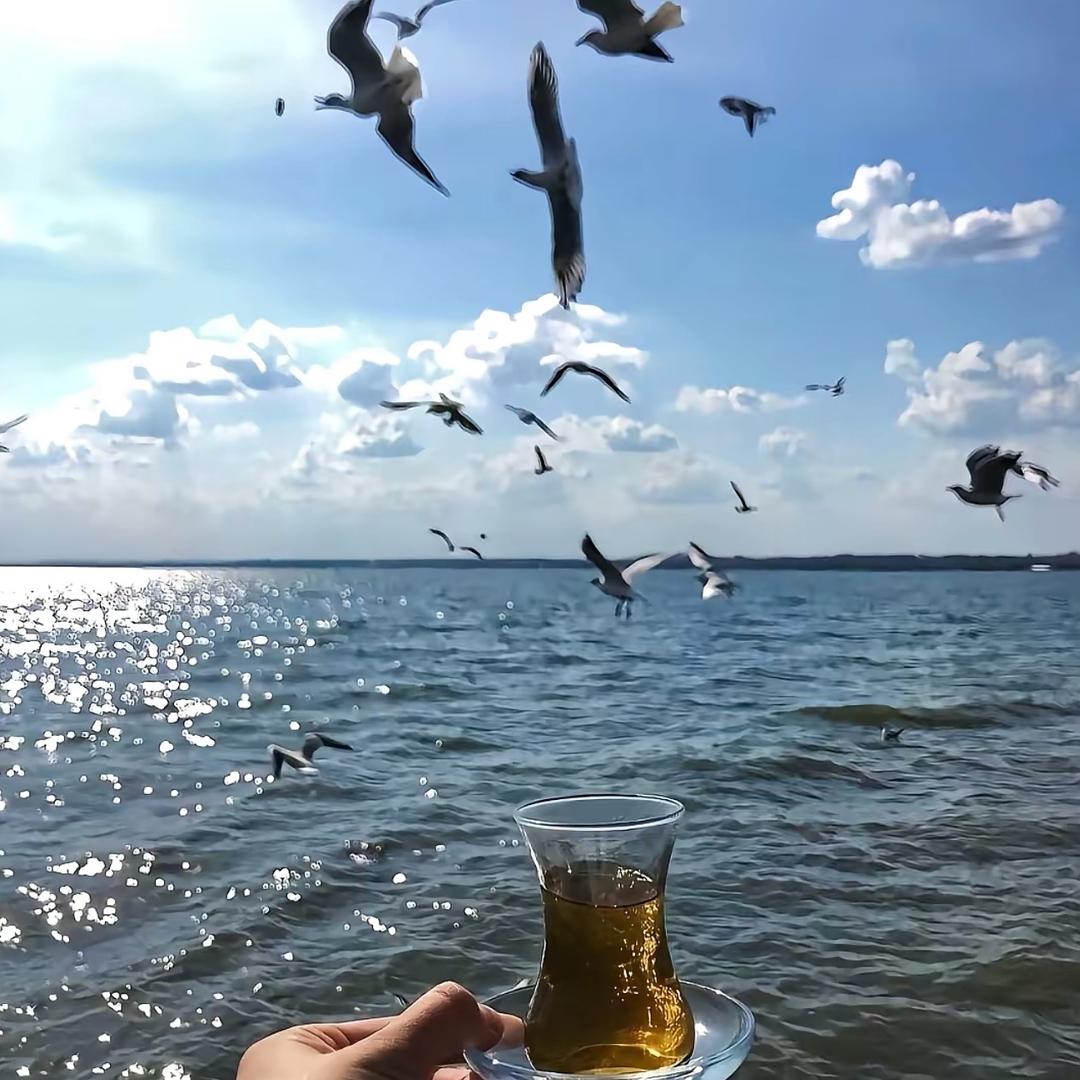 小小鱼🐠……🐟