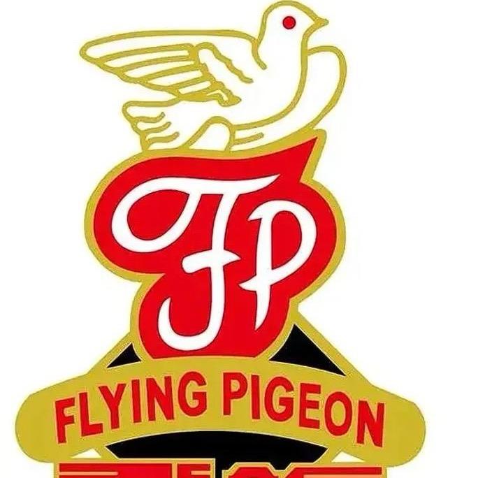 中国飞鸽，中国第一车-T