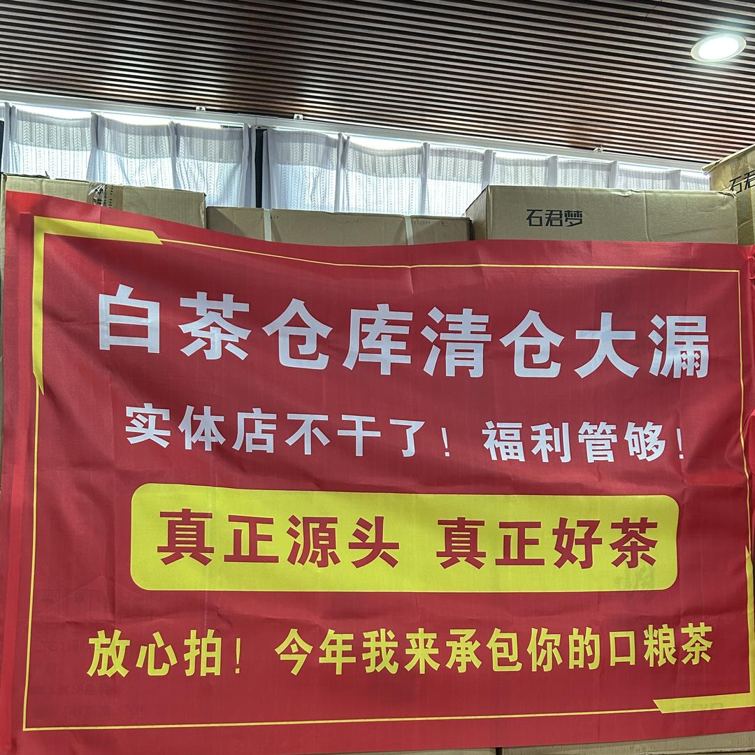 茶晓晓福鼎白茶