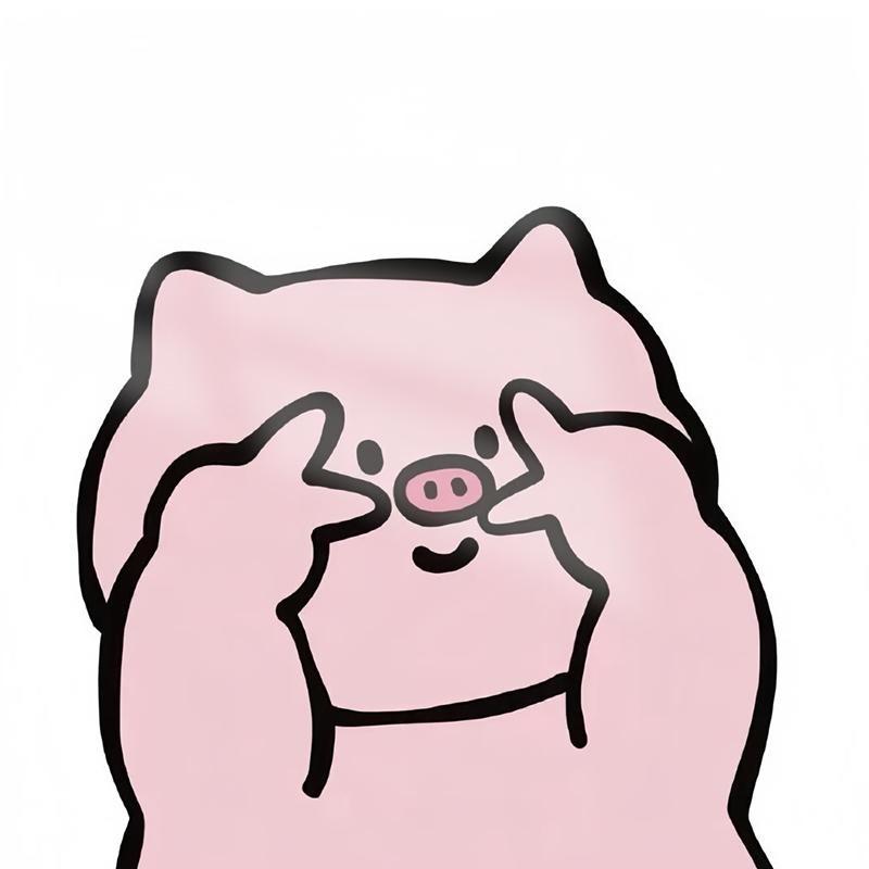 一只平凡的小猪·