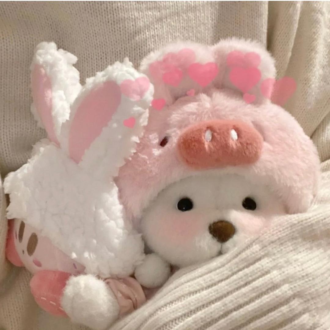 竞赛资源信息差