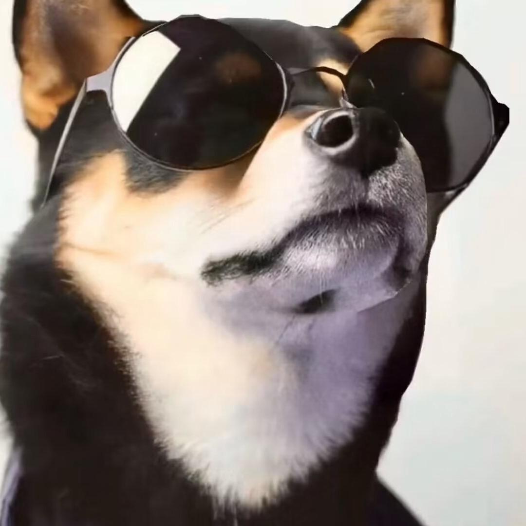 鹊起　　　 　　 ╲