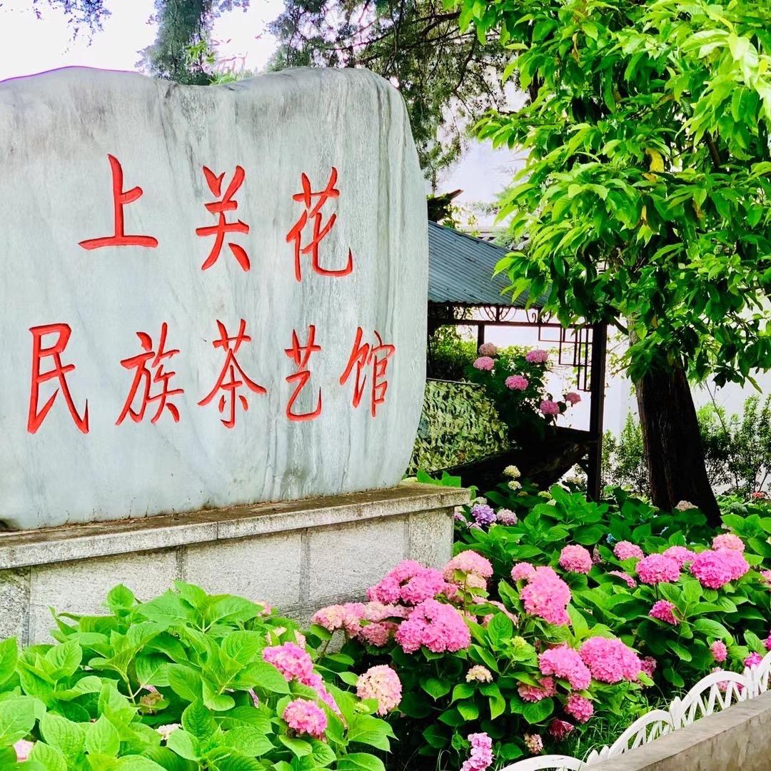 上关花民族茶艺馆