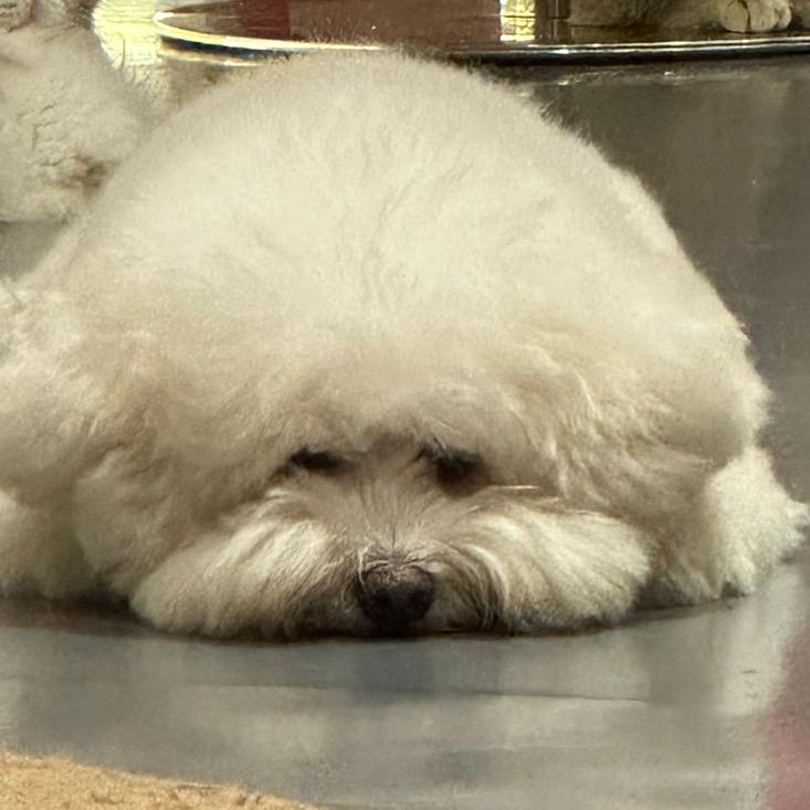 小廖同学快点睡觉