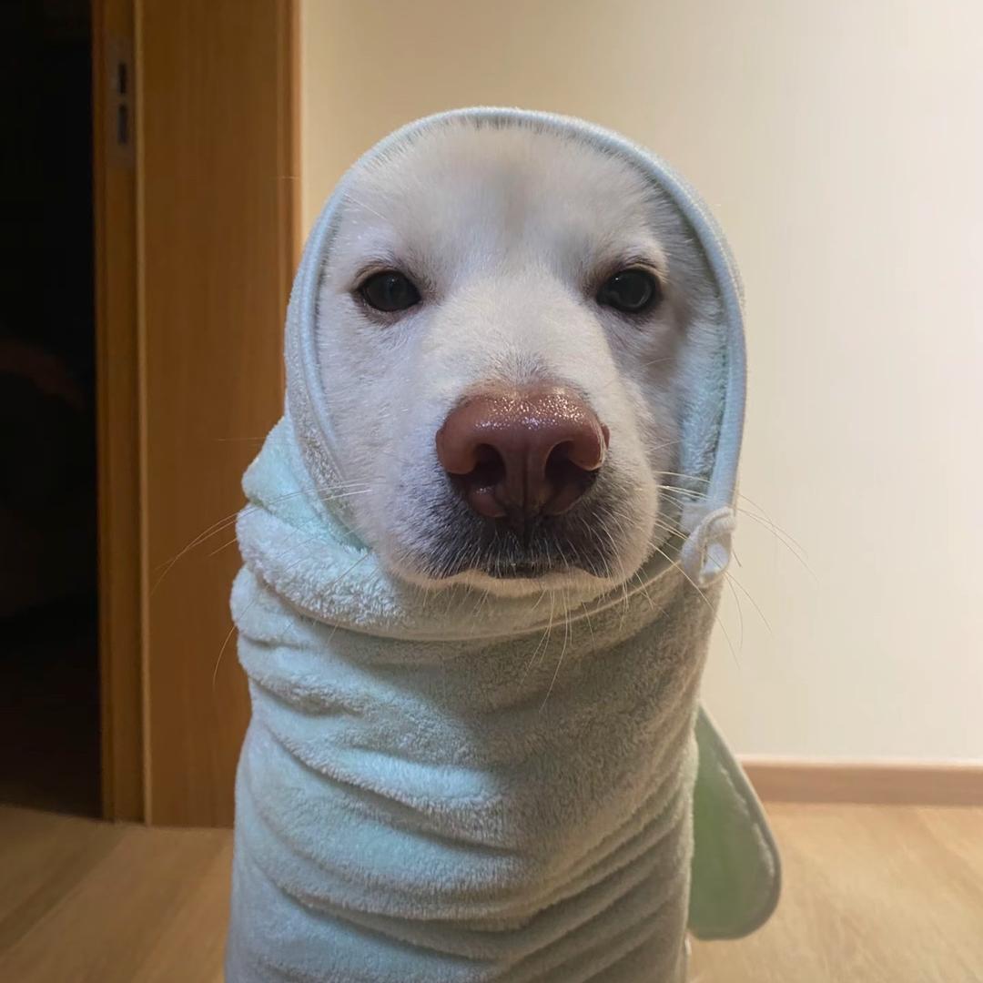 嗦一口香辣小刺猬