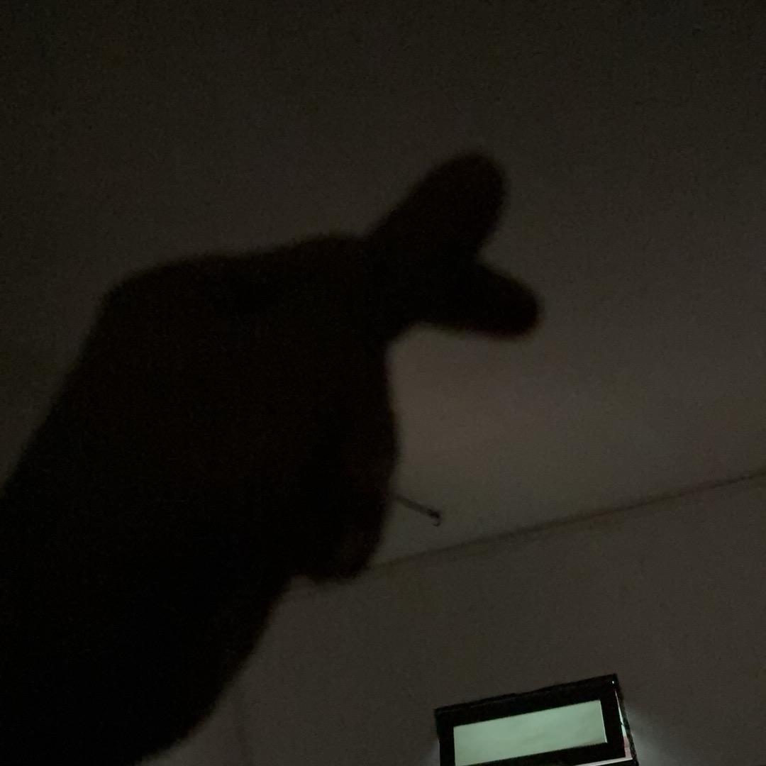 白宇新