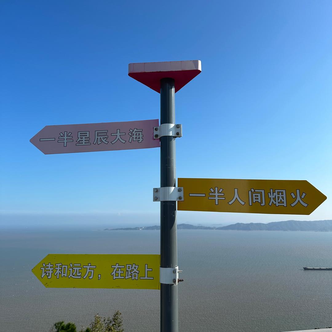 🇨🇳A