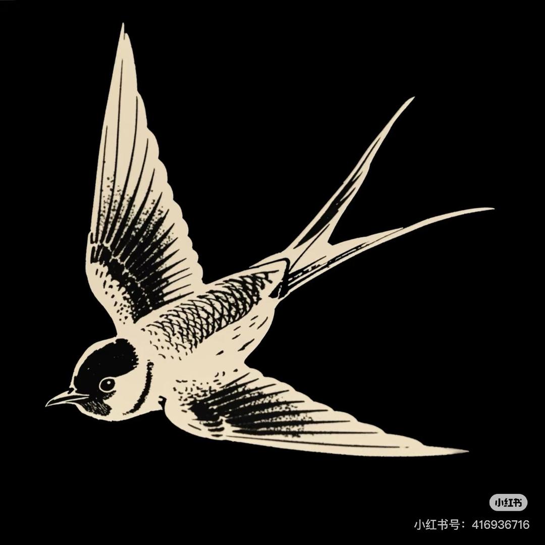 TeamXF·超级燕子