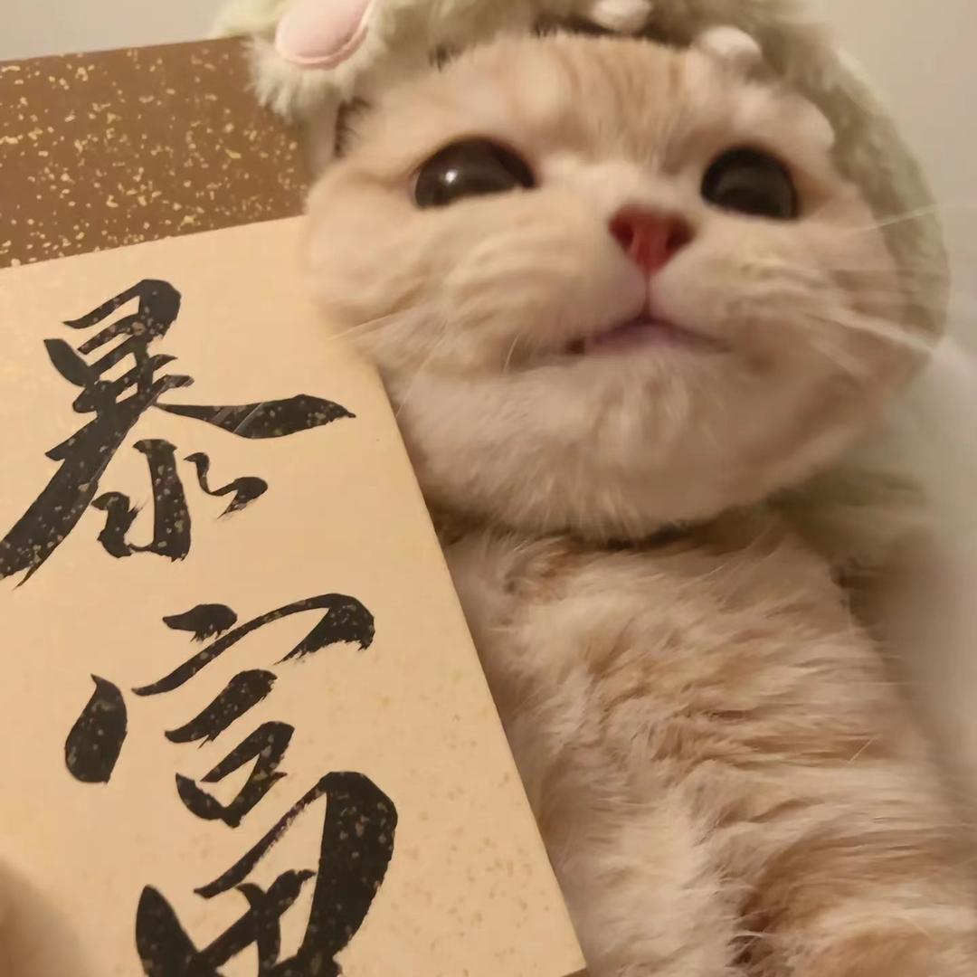 皮💗皮🥰妈😍妈