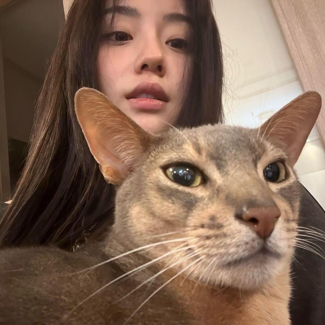 美女也会ᵉᵐᵒ