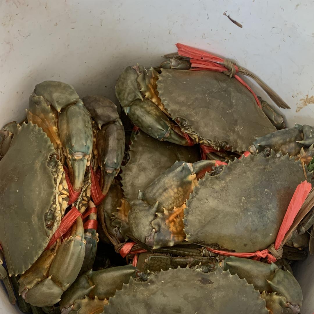 领鲜一步水产店