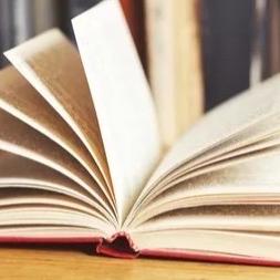 陈红利贸易好货店