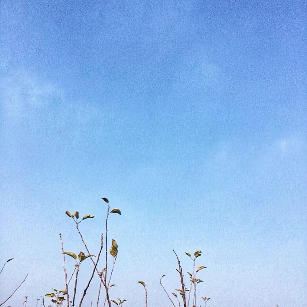 改昵称已被使用