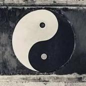 无悟说生肖龙🐉