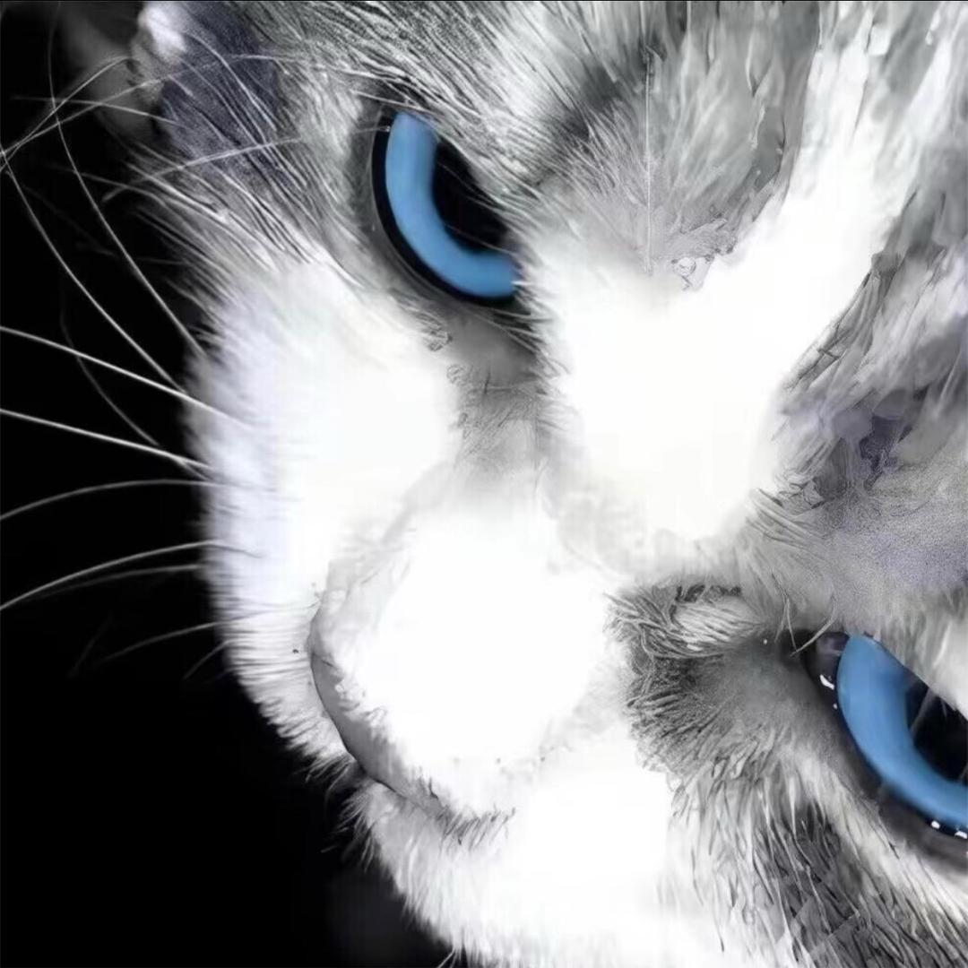干净