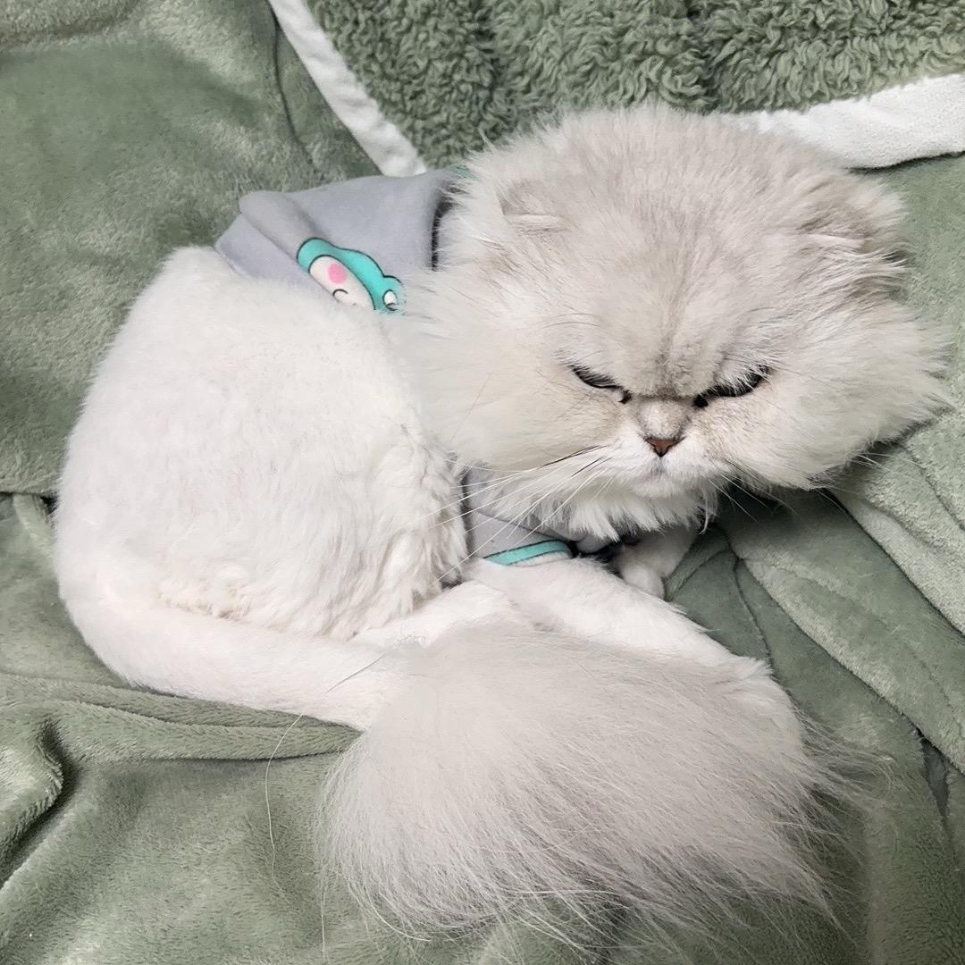 丽风酱酱服饰