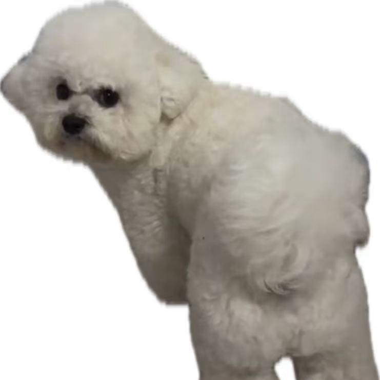 Li