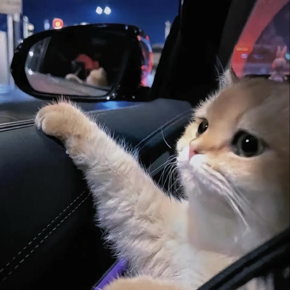 এ᭄故᭨ᮩ里࿐ 🏝