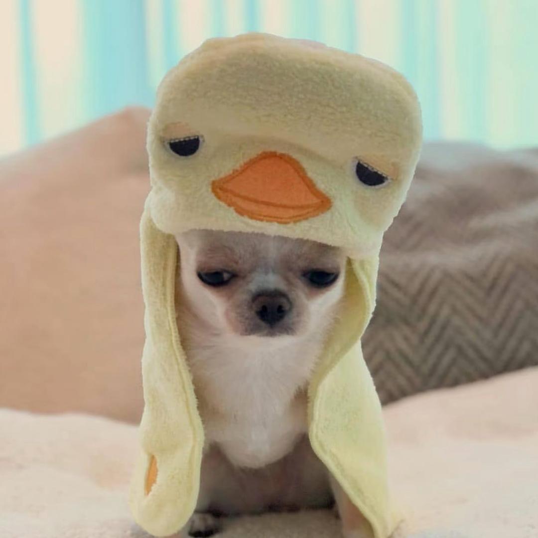 眉尾