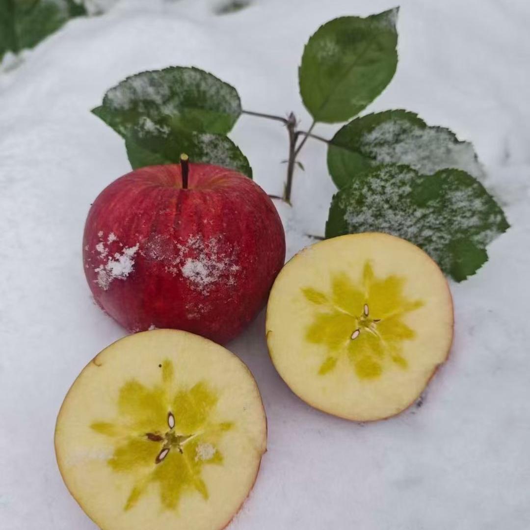 汶川羌缘水果精选店