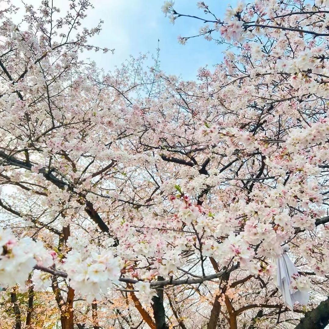 希晨永恒💕