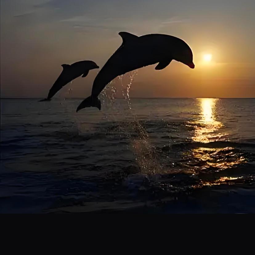 海阔