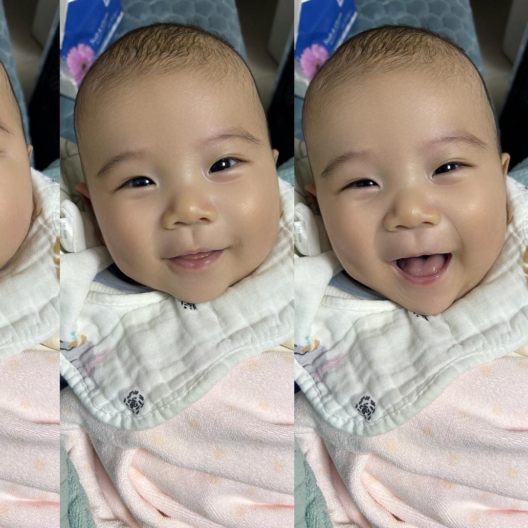 海燕呐🌻