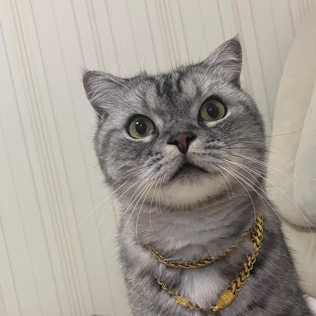 张胖胖