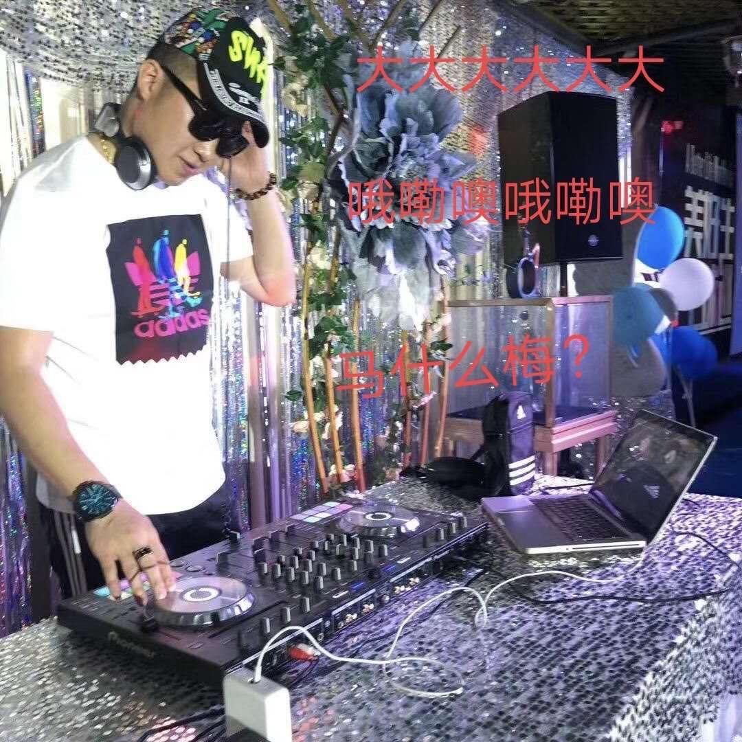 🎙️ 邱歌