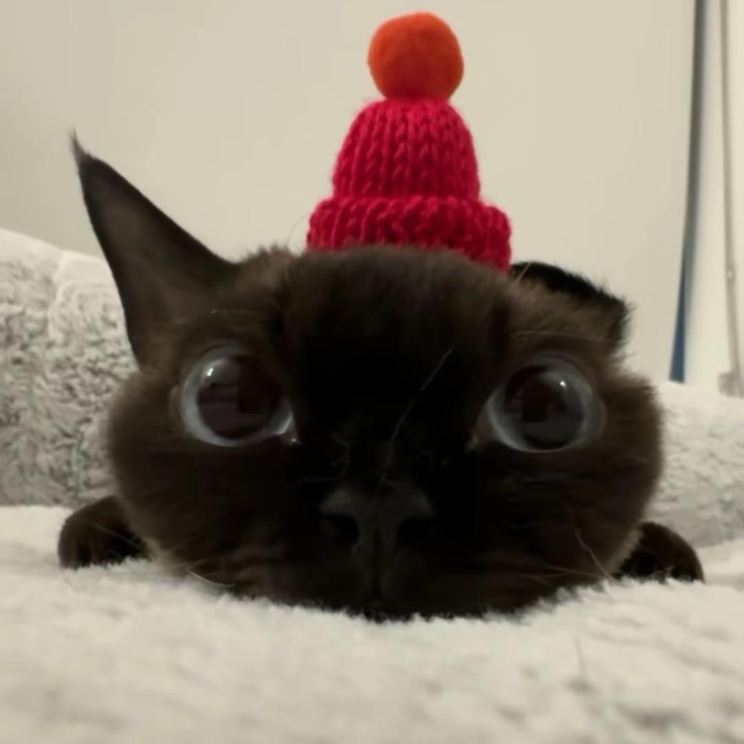 不是又爆护了！