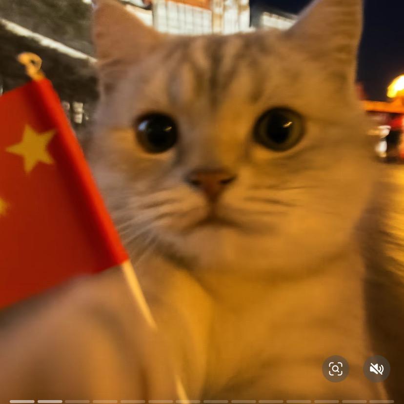 直播助手
