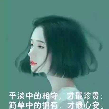 淡雅之恋