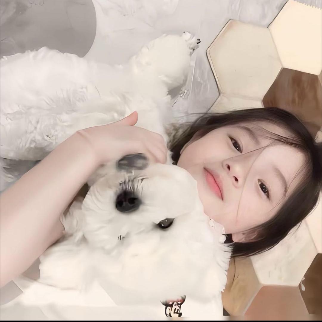 ㅤㅤㅤ
