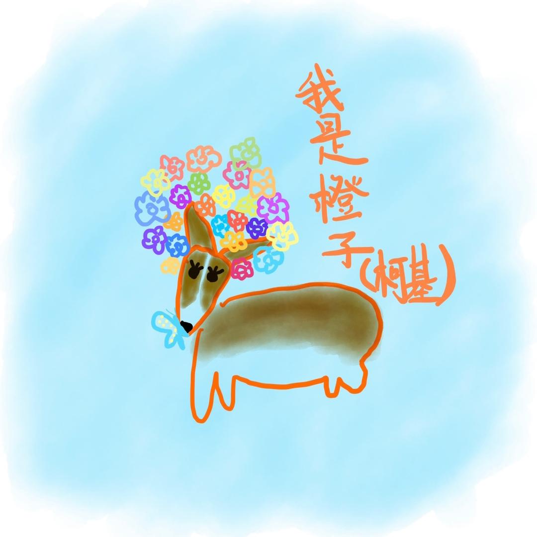 🌪️橙子不能吃