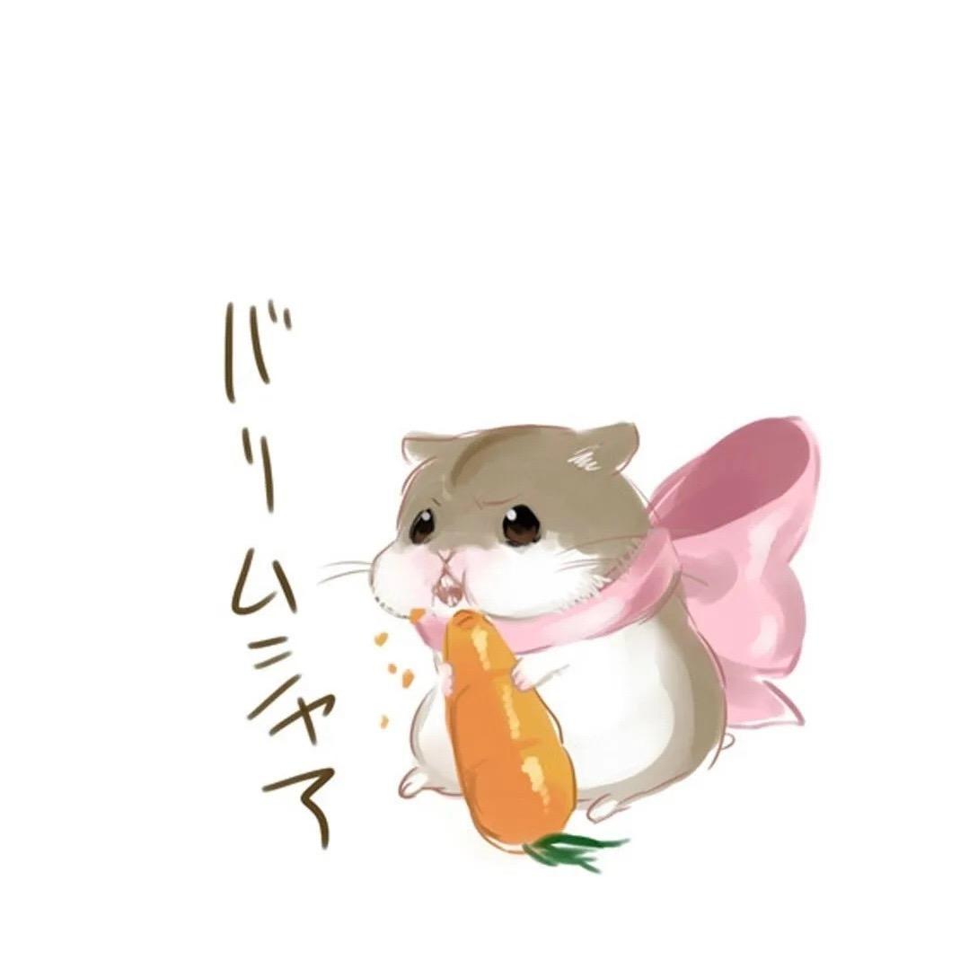 鼠生赢家