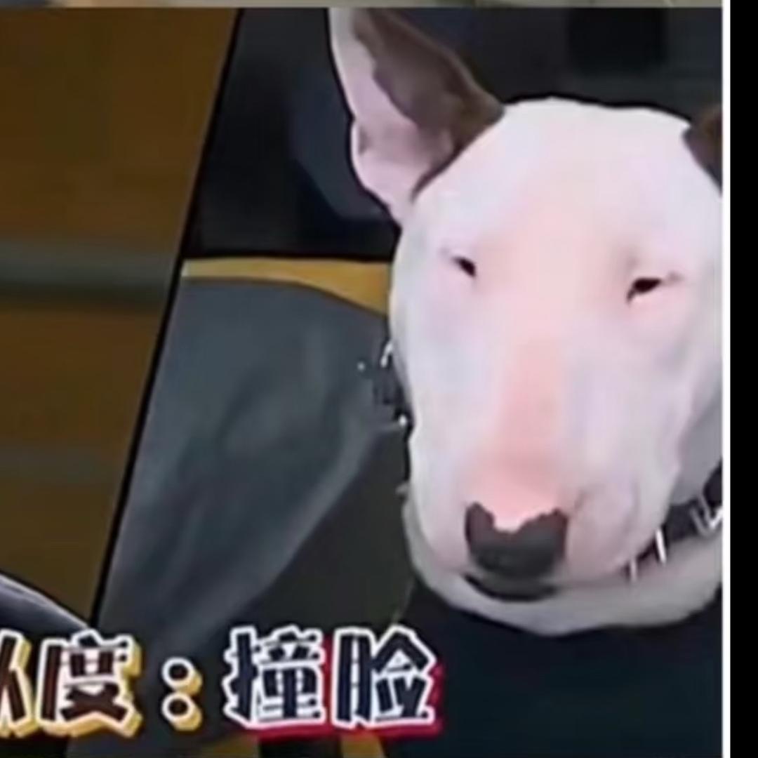 大南野的极限备考加油站