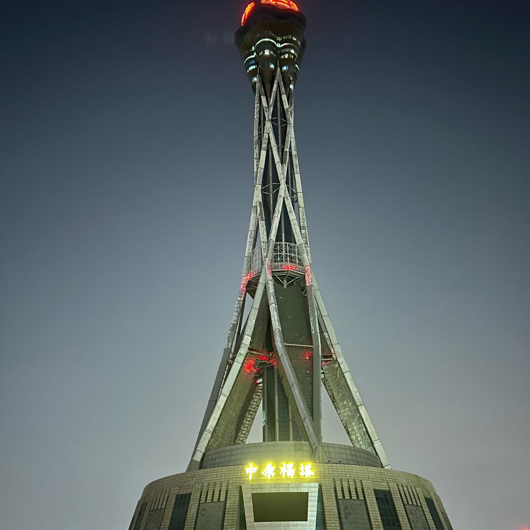 有只猫咪叫福宝