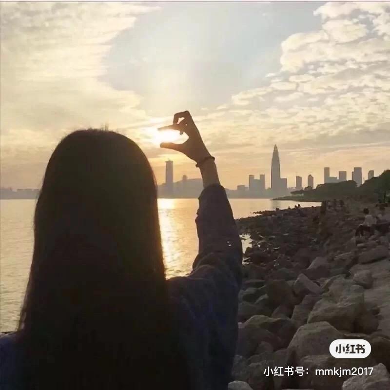 小新燕