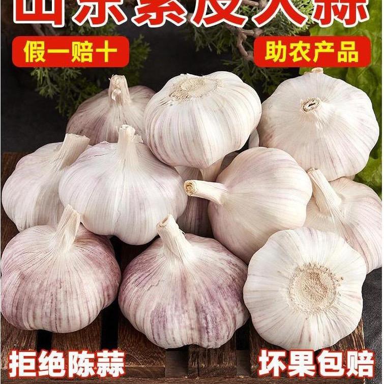 金源果蔬-金乡大蒜