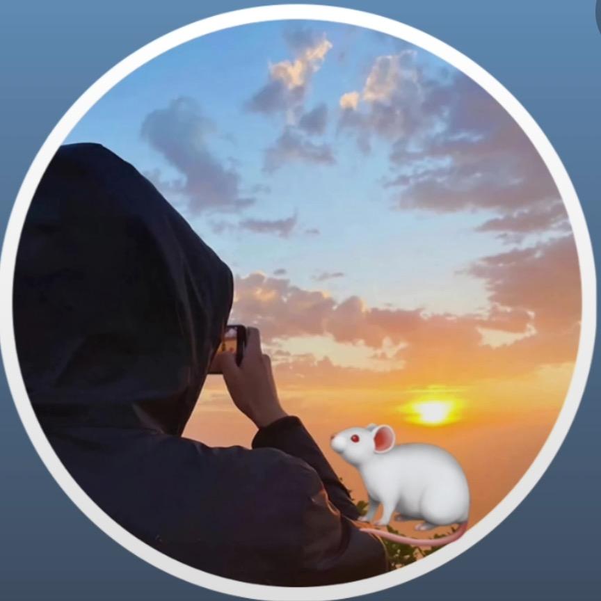 小老鼠🐁