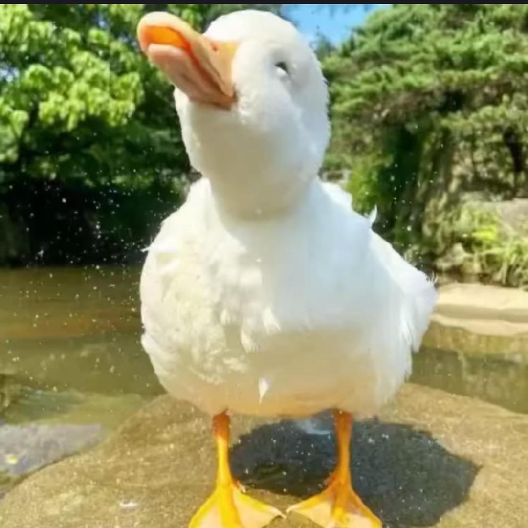 我再睡会.