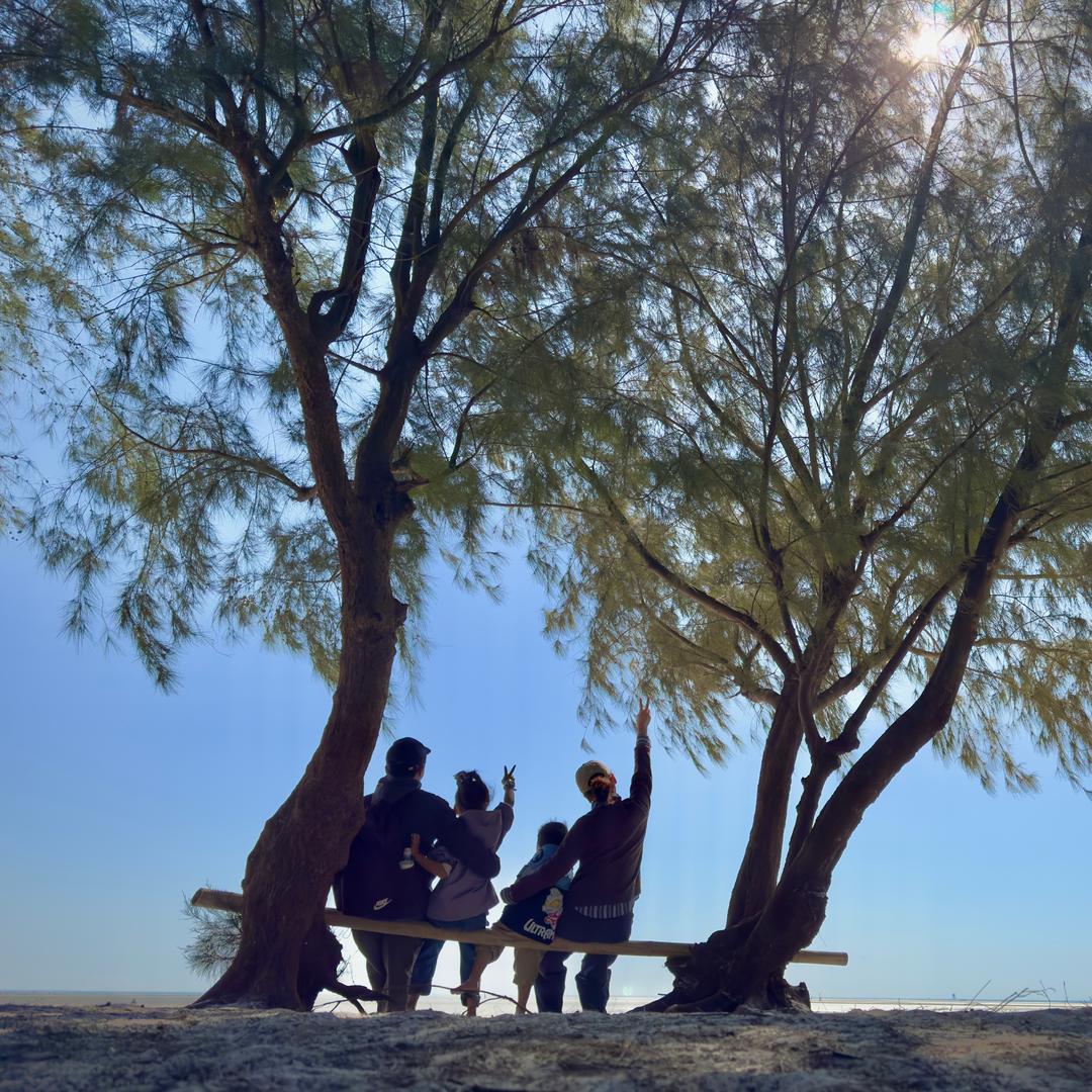 逃离农场（学英语中）