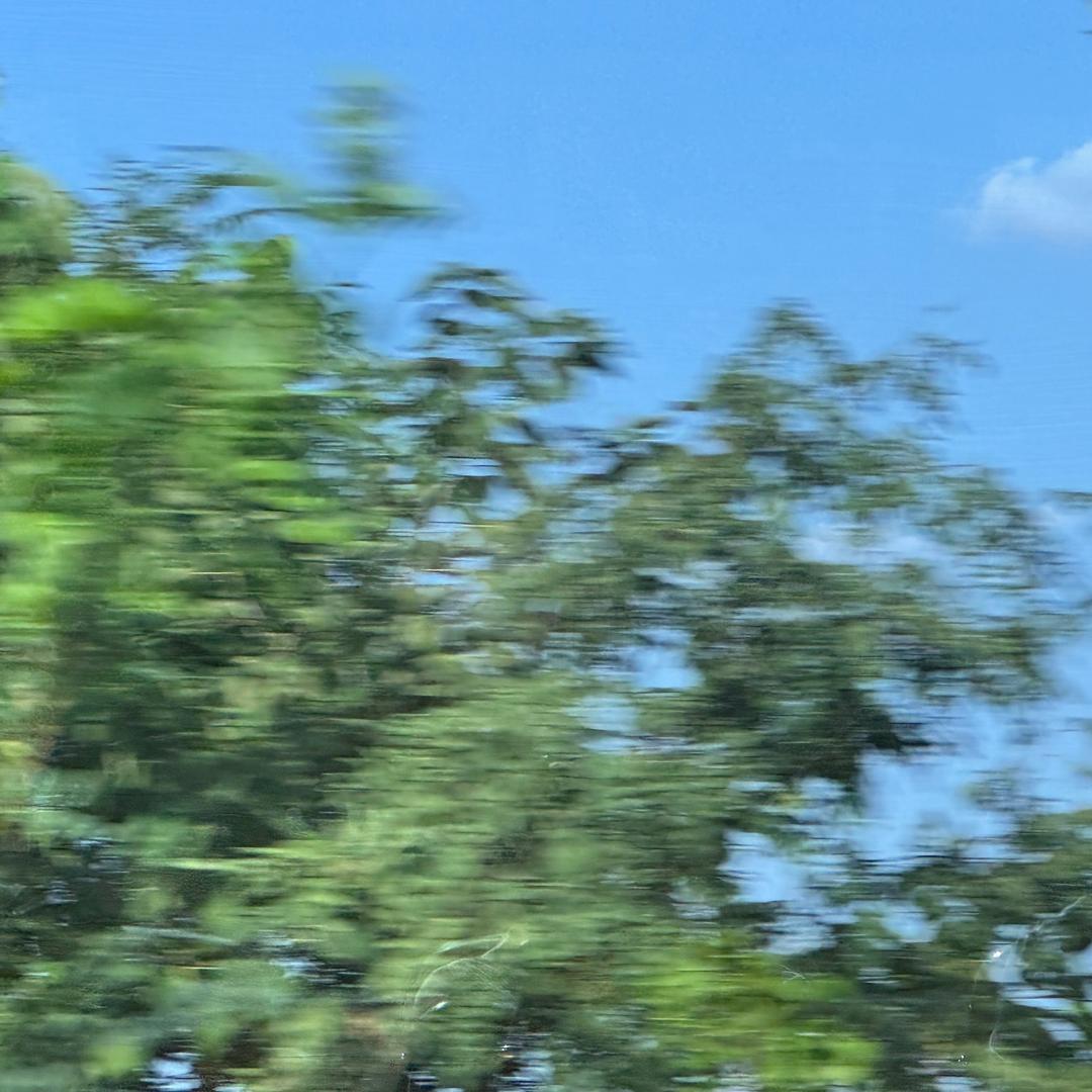 下一个路口