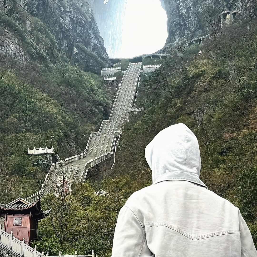 爱吃鱼腥草