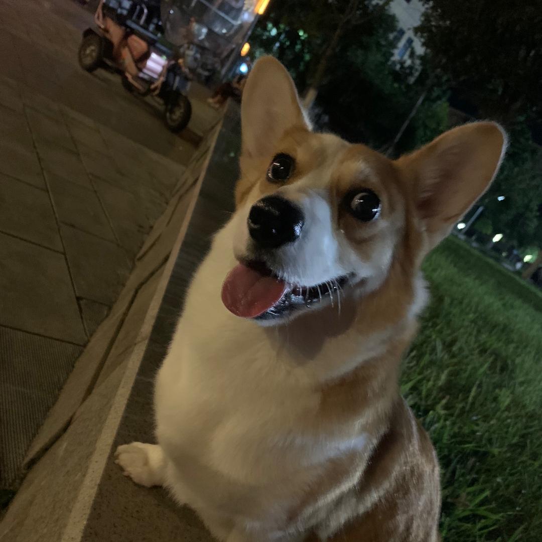 楼兰香
