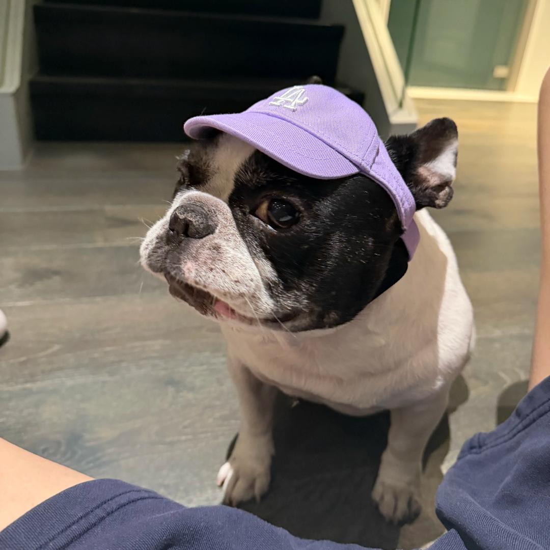 k（去过鹿晗四巡版）