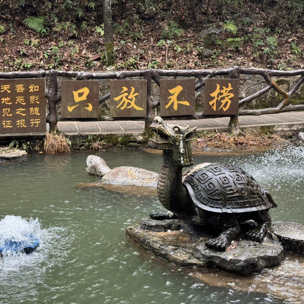 龟龙🐉