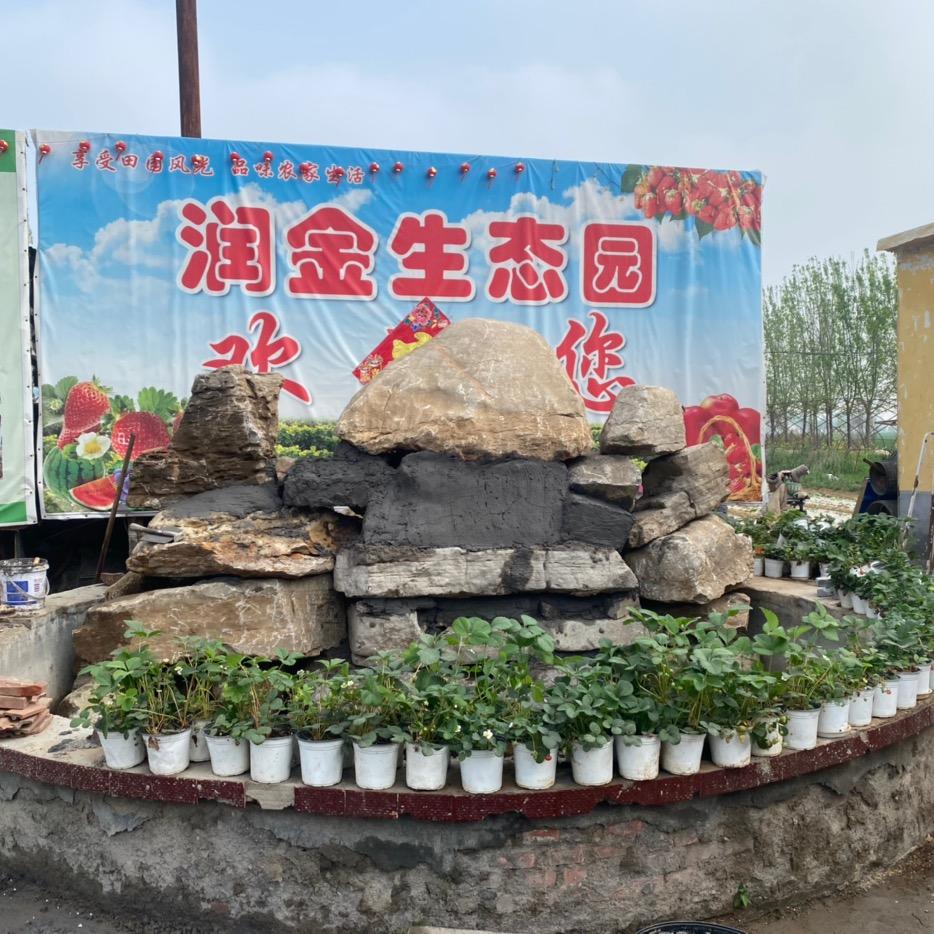 汶上县润金采摘露营基地