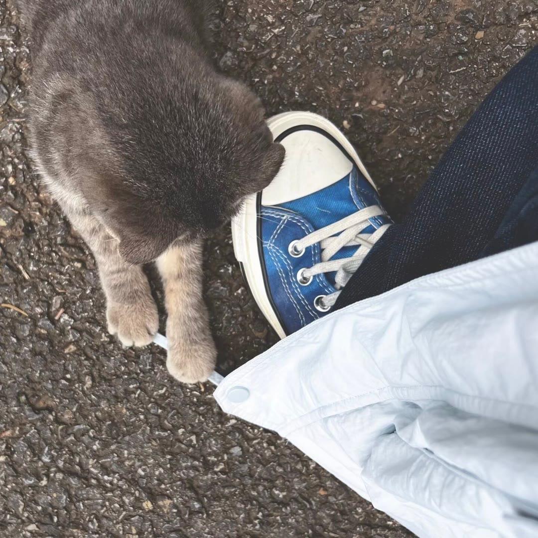 ㅤㅤ